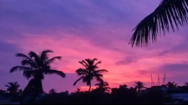 Images of the day: Pink skies across Bhubaneswar; Virat Kohli's dinosaur walk; more
