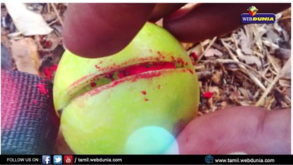 திருஷ்டியை விரட்டும் சக்தி கொண்ட எலுமிச்சை..!