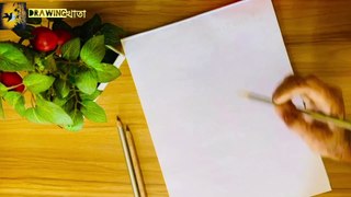 How to draw mango | sketch and colour mango for beginners | easy mango drawing