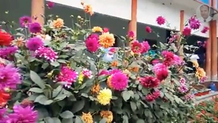 ড. কুদরত-ই-খুদা হাউস | ঢাকা রেসিডেনসিয়াল মডেল কলেজ | Dr. Qudrat-E-Khuda House | DRMC | কুদরাত-এ-খুদা
