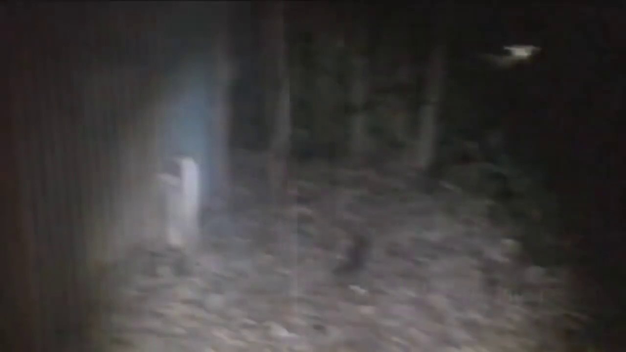 5 NAKAKAPANINDIG BALAHIBONG MGA VIDEO NA TIYAK NA KATATAKUTAN MO!