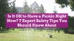 Is It OK to Have a Picnic Right Now? 7 Expert Safety Tips You Should Know About