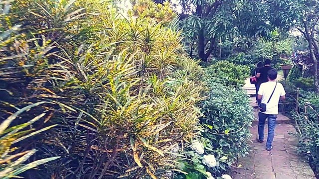 Beautiful Shillong All In One Visiting Place - Meghalaya Tourism North East India