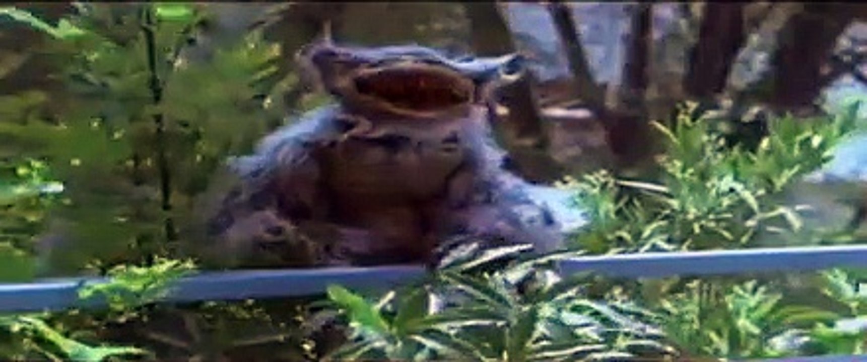 Hobgoblins 2 - Trailer