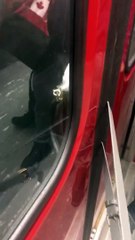 Train Doors Cause Anxious Ride for Purse Owner