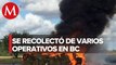 Incineran 11 toneladas de droga en Baja California