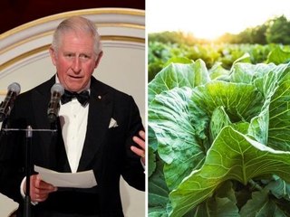 Prince Charles Urges Citizens to Help Struggling Farmers With Their Harvests
