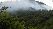 Ordu’daki altın madeninin yanında orman yangını