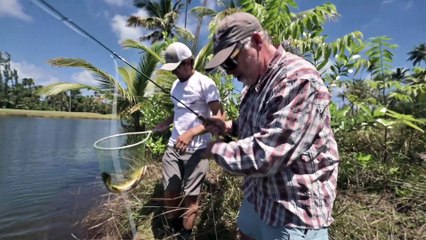 A D.I.Y. Fishing Road Trip in Puerto Rico