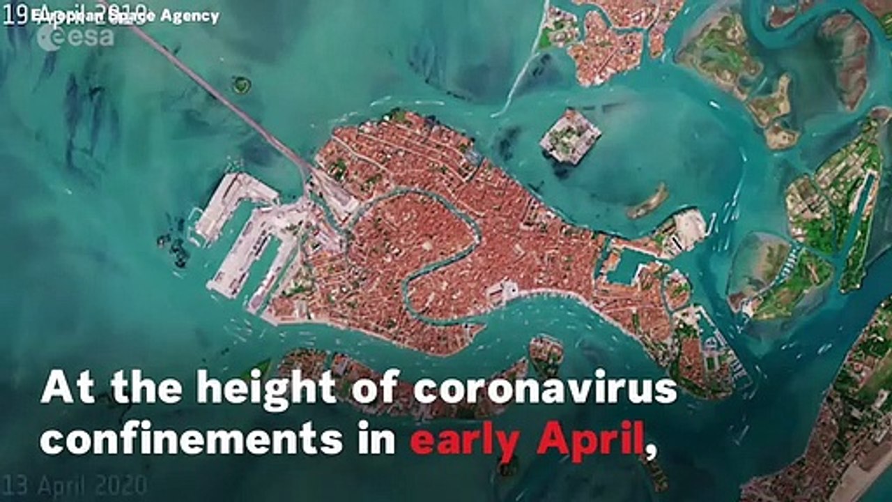 Daily Global Carbon Dioxide Emissions Fell Due To COVID-19 Confinement Measures