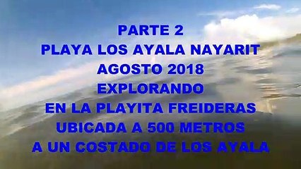 Los ayala beach, in nayarit state of mexico, rare crab and snorkeling, august 2018, part 2.