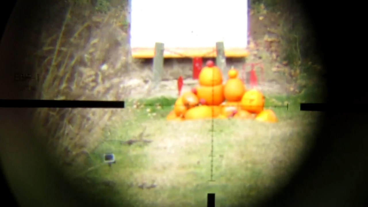 Pumpkins Dissolved by Direct Hit