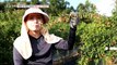 [LIVING] the return of a 31-year-old couple to farming., 생방송 오늘 아침 20200522