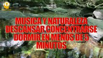 MUSICA Y NATURALEZA DESCANSAR CONCENTRARSE DORMIR EN MENOS DE 5 MINUTOS
