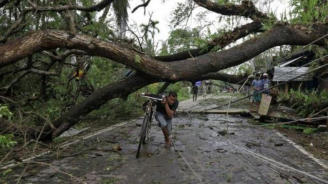Cyclone Amphan aftermath in Bengal: Houses damaged, trees uprooted, more