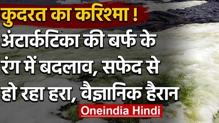 Antarctica की बर्फ के Colour में बदलाव, White से हो रहा Green, Scientist हैरान | वनइंडिया हिंदी