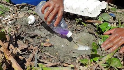 Most Popular Fishing With Eggs -Unbelievable Eggs Fishing Dry-Mud-Hole - Big Snakehead Catch.