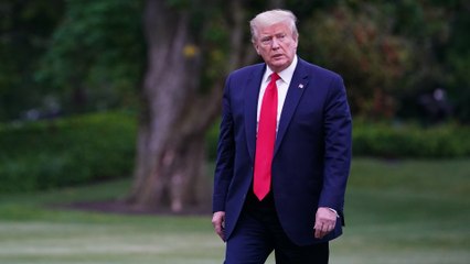 Trump to withdraw US from Open Skies arms control treaty