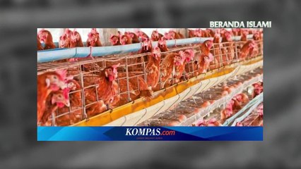 Hukum mengkonsumsi makanan tanpa label halal - Kalam Hati