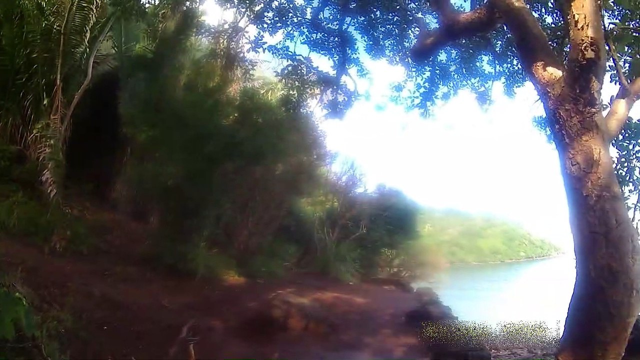 Freideras beach viewpoint, los ayala nayarit, october 2019.