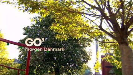 COVID-19; Om Fase 2, 3, 4  | Go morgen Danmark | TV2 Danmark