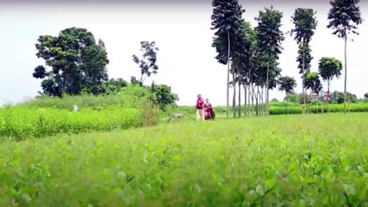 bangla natok