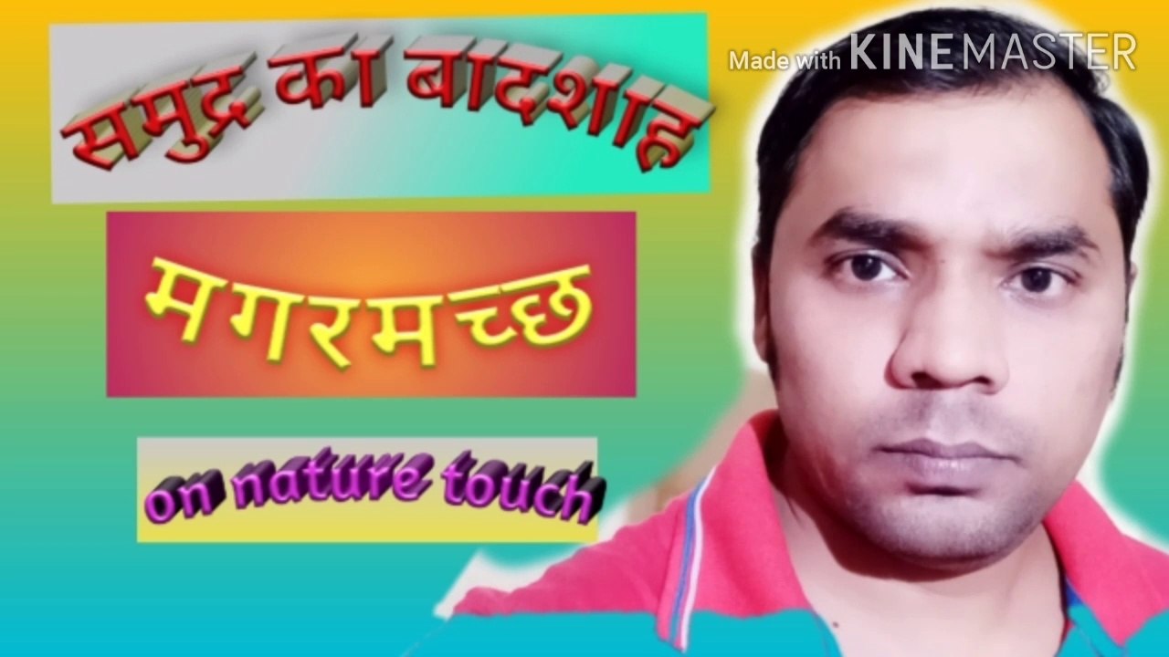 crocodile nature/crocodile nature documentary/crocodile natural habitat/मगरमच्छ दृश्य//By Anil Verma.. 13..