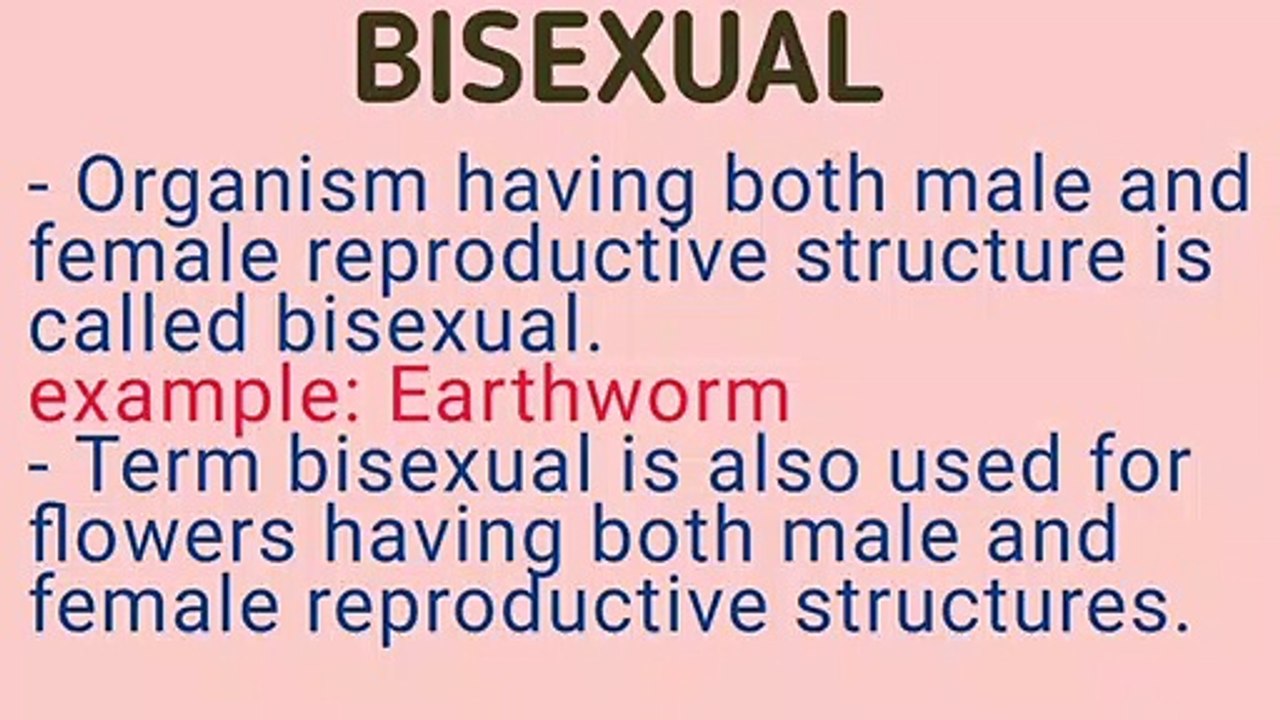 Biocapsule EP 6