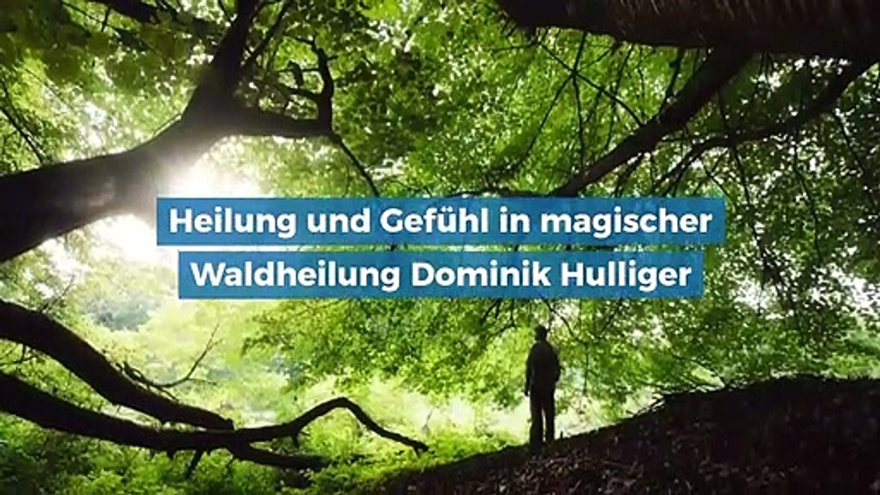 Heilung und Gefühl in magischer Waldheilung Dominik Hulliger