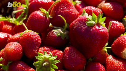 Fruit Based Desserts to Celebrate Memorial Day