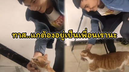 น่ารักมาก !! เมื่อแม่เหมียวจะคลอดลูก ต้องการให้ทาสเป็นกำลังใจอยู่ข้าง ๆ