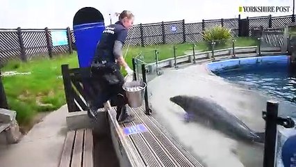 Scarborough Sealife Centre In Lockdown