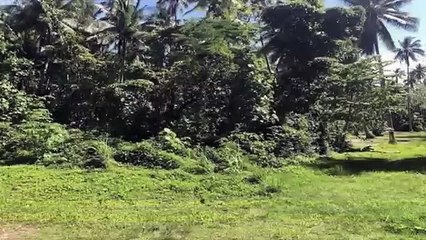 A vendre un terrain Plat de 3810M2 C/Mont. à Moorea-Afareaitu