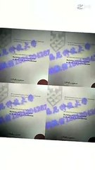 152.制作美国原版1:1文凭LUC毕业证【Q /WeChat: 1851304262】诚信办理美国芝加哥洛约拉大学diploma毕业证/成绩单/留信、使馆、留服学历认证 网上永久可查Loyola University Chicago diploma
