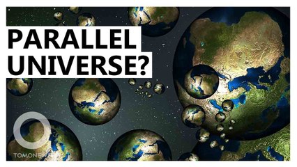 Did We Find A Parallel Universe?