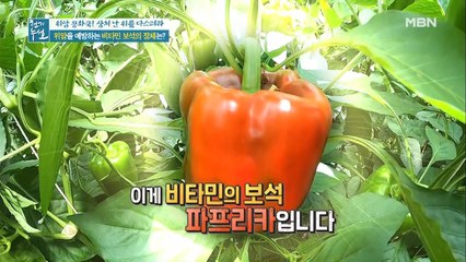 면역력 쑥↑ 위암 발생률 뚝↓ 오늘의 주인공은…?!