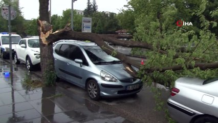 Park yasağı bulunan bölgeye park etti, aracının üstüne ağaç düştü