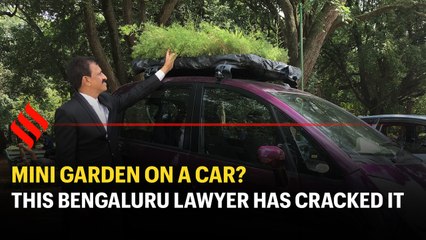 Bangalore's Latest Trend: Garden on Top of a Car 🌿