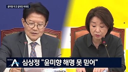 [여랑야랑]‘윤미향 발’ 여의도 전쟁