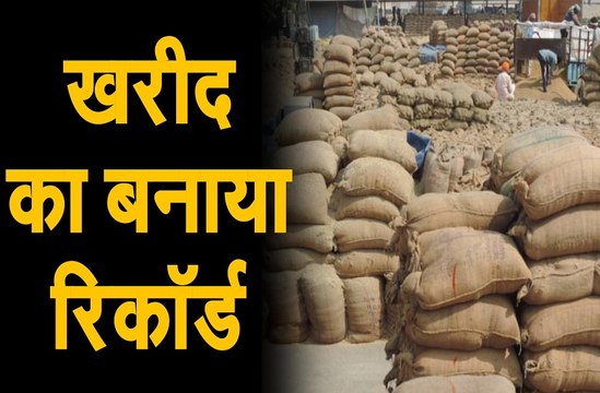 राजफैड ने एक दिन में सर्वाधिक 32 हजार मीट्रिक टन खरीद का बनाया रिकॉर्ड