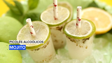Picolés Alcoólicos: Mojito