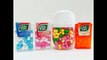 Counting Rainbow Tic Tac Candies