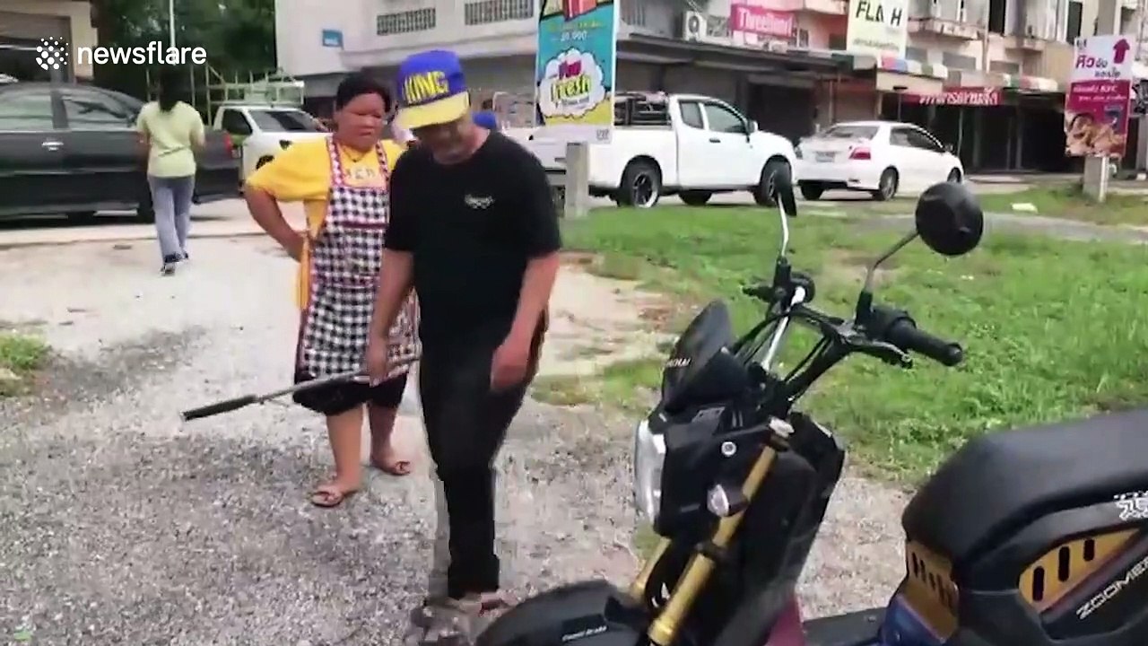 Motorcyclist terrified after snake pokes out of the bike while riding