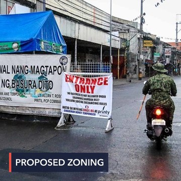 COVID-19 Task Force proposes imposing lockdown by 'zones' in June