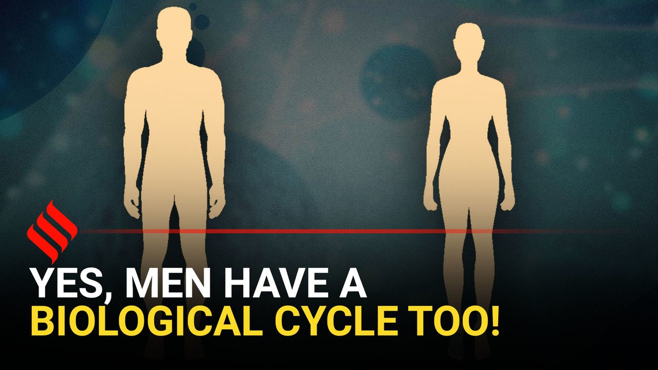 Yes, men have a biological cycle too! A doc exp...