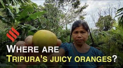 Is Tripura's 'Jampui Kamola' a thing of the past?