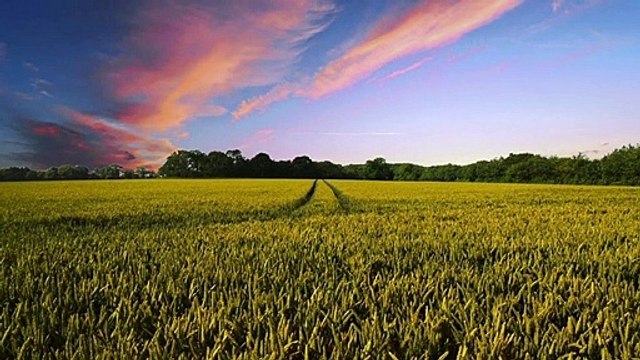 Dam Is Disturbing - Dam Is Doomed - Diamer Bhasha Dam - Don't Stop