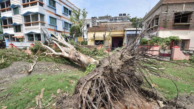 West Bengal: Cyclone Amphan leaves trail of destruction