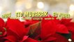 Eid Mubarak WhatsApp Status 2020 | Eid 2020 Status | Happy Eid Mubarak 2020 | Eid Special 2020