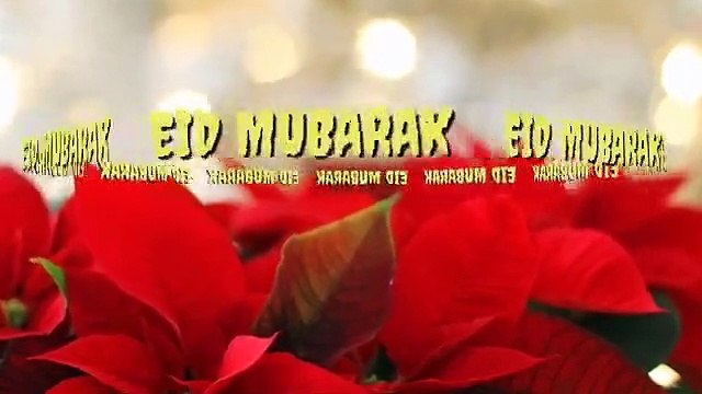 Eid Mubarak WhatsApp Status 2023 | Eid 2023 Status | Happy Eid Mubarak 2023 | Eid Special 2023